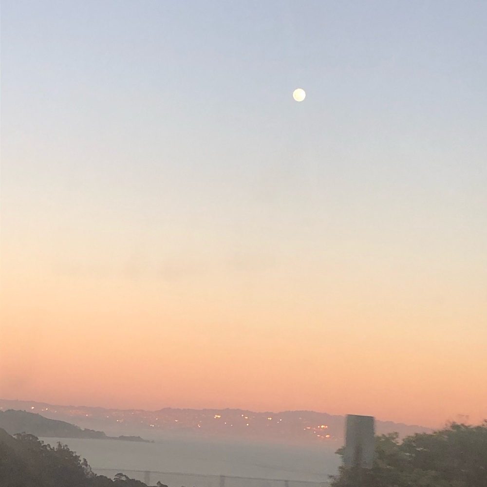 Meet your Posher, Kyla